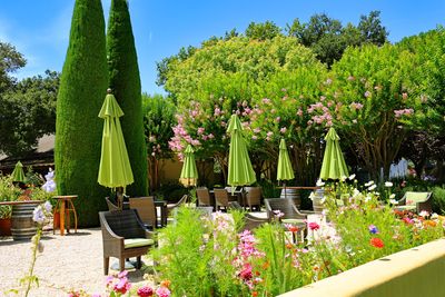 Landmark Winery patio umbrellas 1