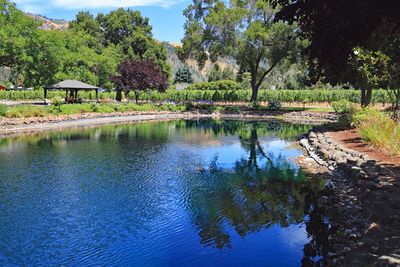 Landmark Winery pond