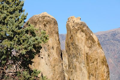 Lone Pine twin split rocks