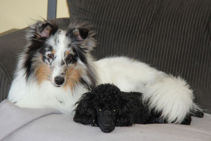Brodie and Tara