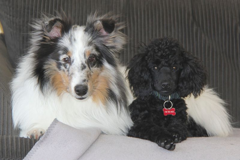 Brodie and Tara