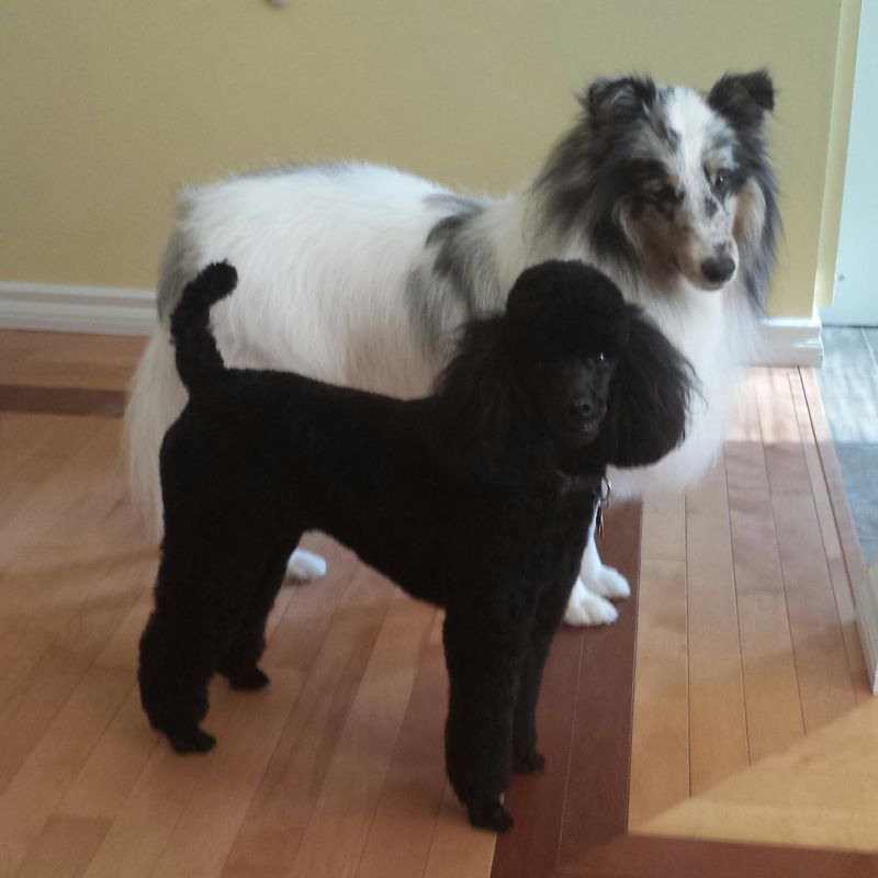 Tara and Brodie