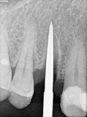 g13/01/117801/3/175366912.8d8fb014.JPEG