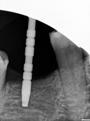 R10.jpg