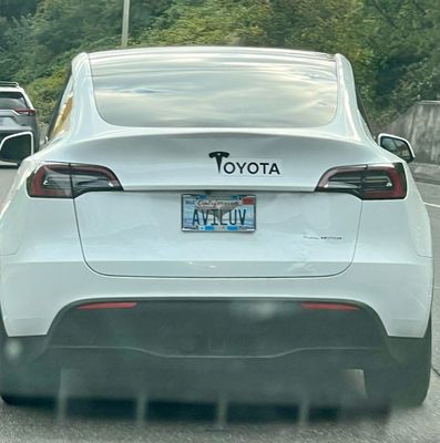 Soooo many Teslas in this city! They are everywhere!