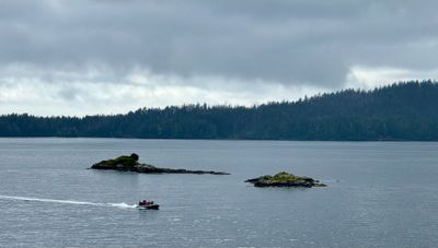 IMG_5919 2.jpeg