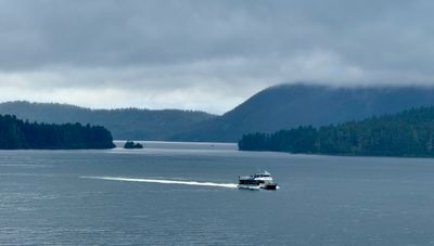 IMG_5920 2.jpeg
