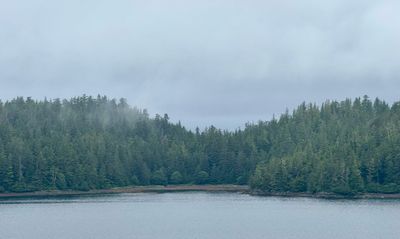 IMG_5925 2.jpeg