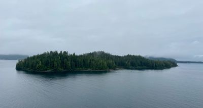 IMG_5931 2.jpeg