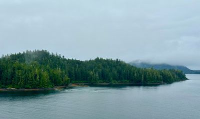 IMG_5932 2.jpeg