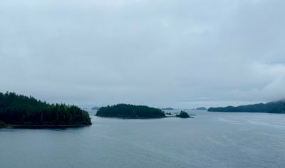 IMG_5938 2.jpeg