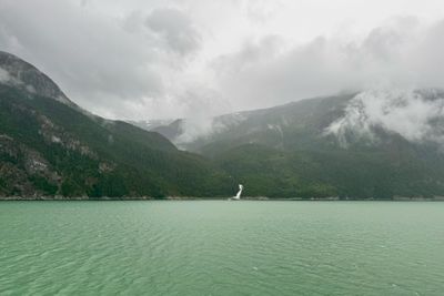 IMG_5948 2.jpeg