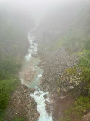 IMG_5985 2.jpeg