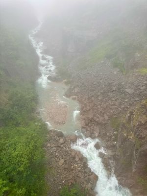 IMG_5986 2.jpeg