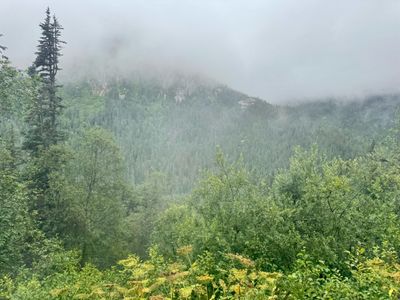 IMG_6024 2.jpeg