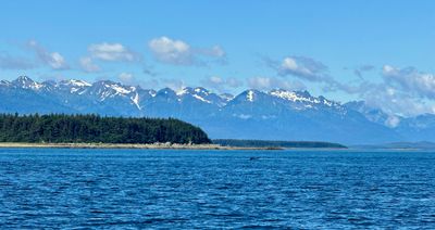 IMG_6139.jpeg