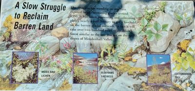 IMG_6179.jpeg