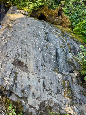 Glacier scrapes on a large rock