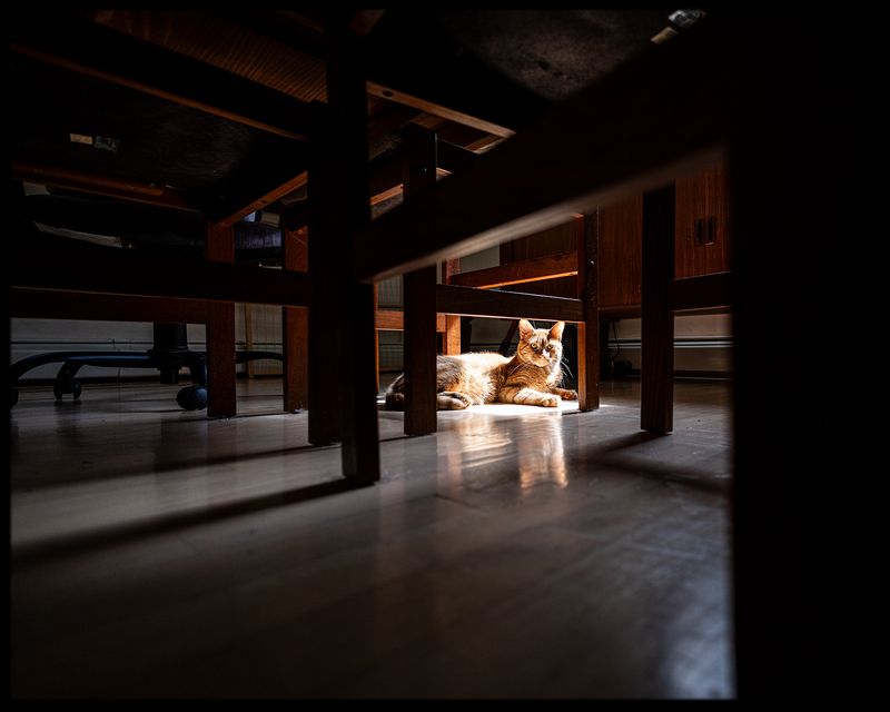 DayinLife_02.jpg