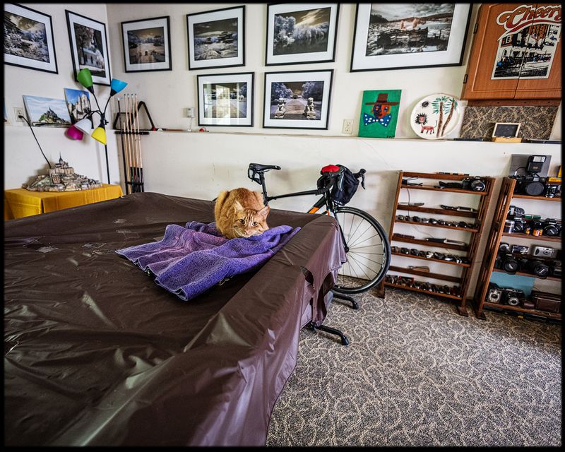 DayinLife_03.jpg