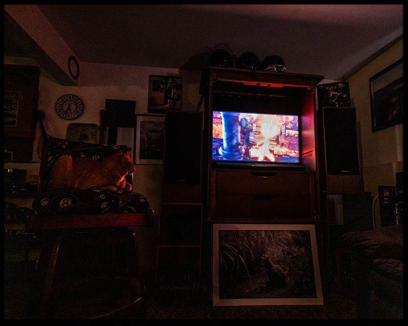 DayinLife_05.jpg