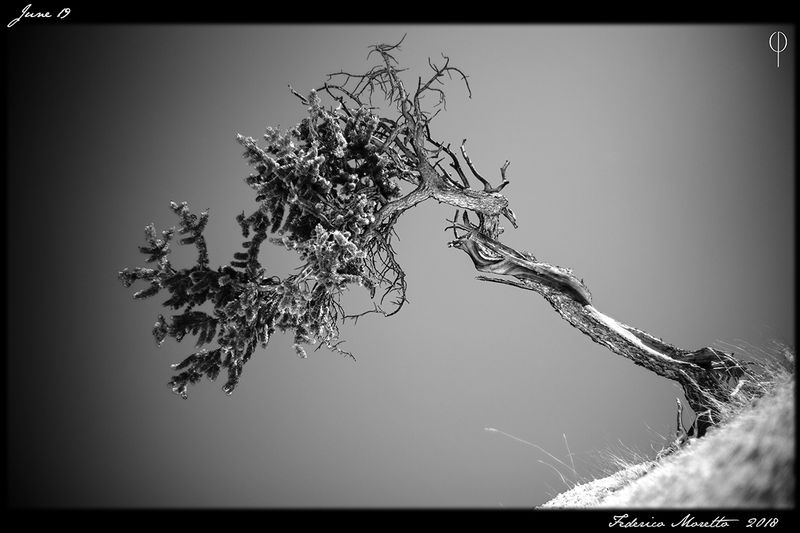 Backroads_024.jpg