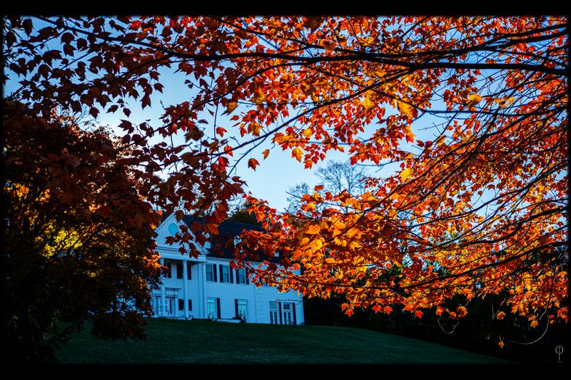 Color_me_fall_03.jpg