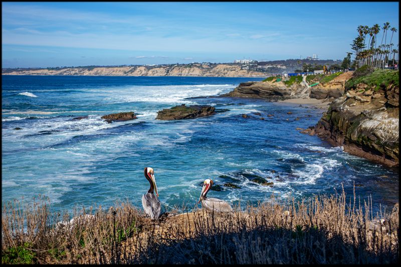 SanDiego_10.jpg