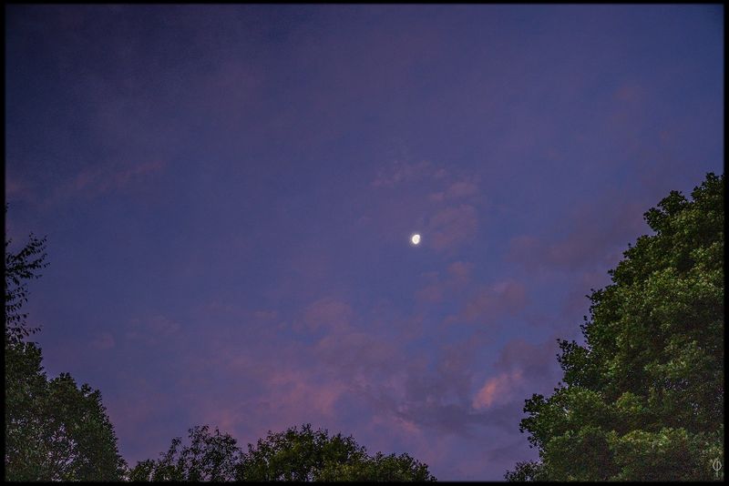 Morning_moon.jpg