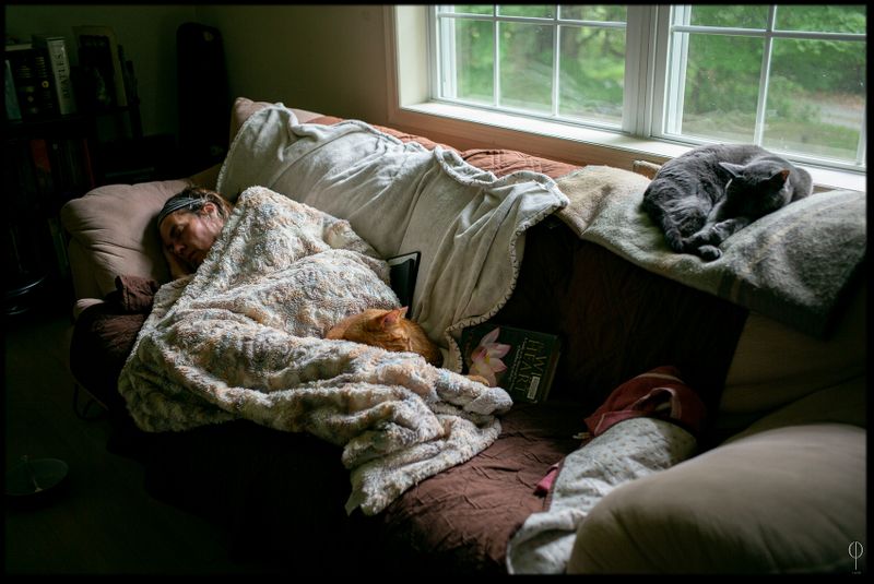 Cat_Nap.jpg