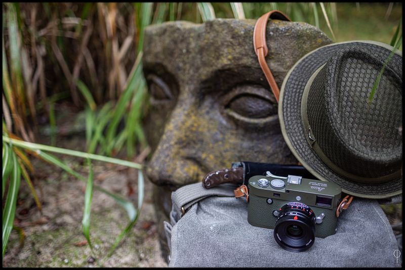 Safari_01.jpg