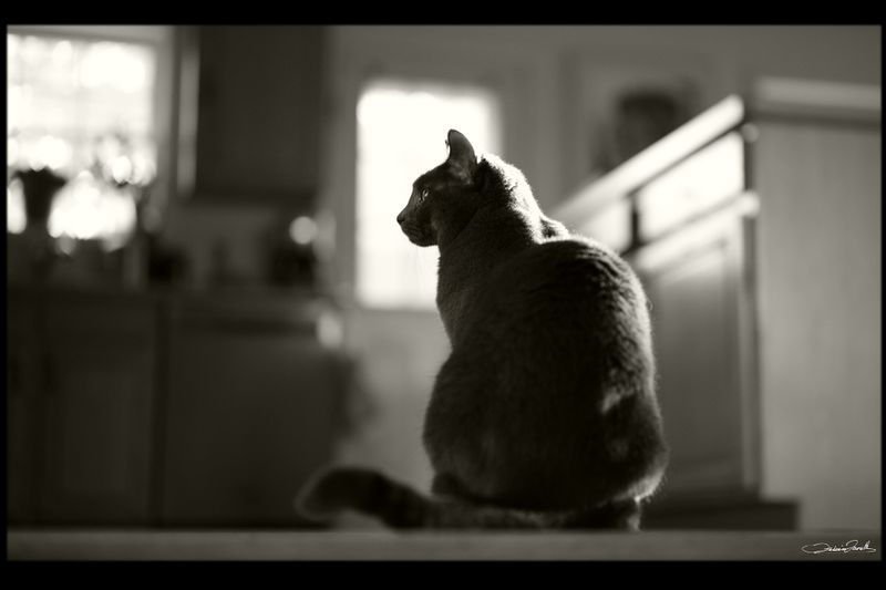 BacktoBnW_001.jpg