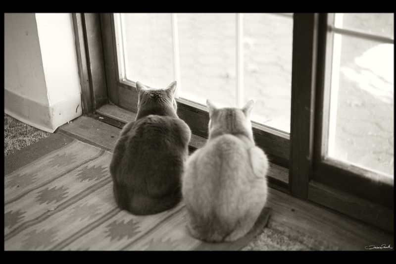 BacktoBnW_006.jpg