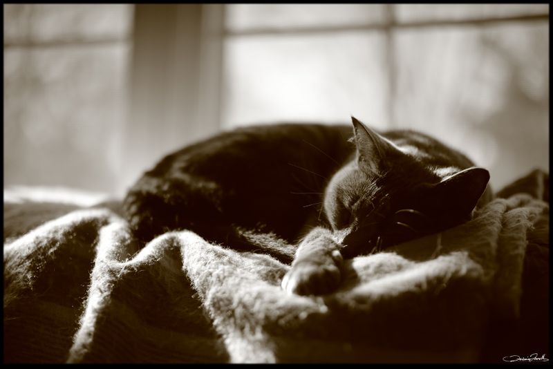 1Q8A1108.jpg