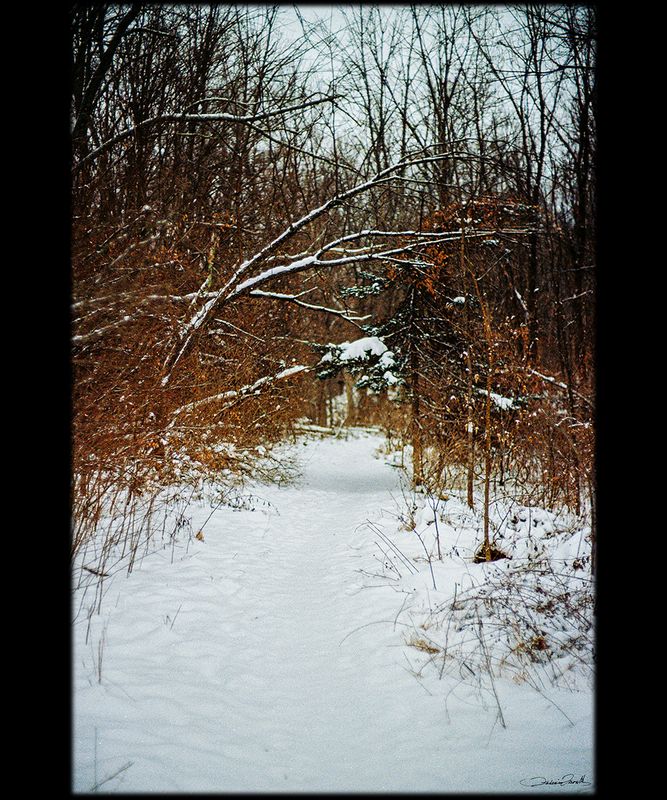 Dec_24_05.jpg