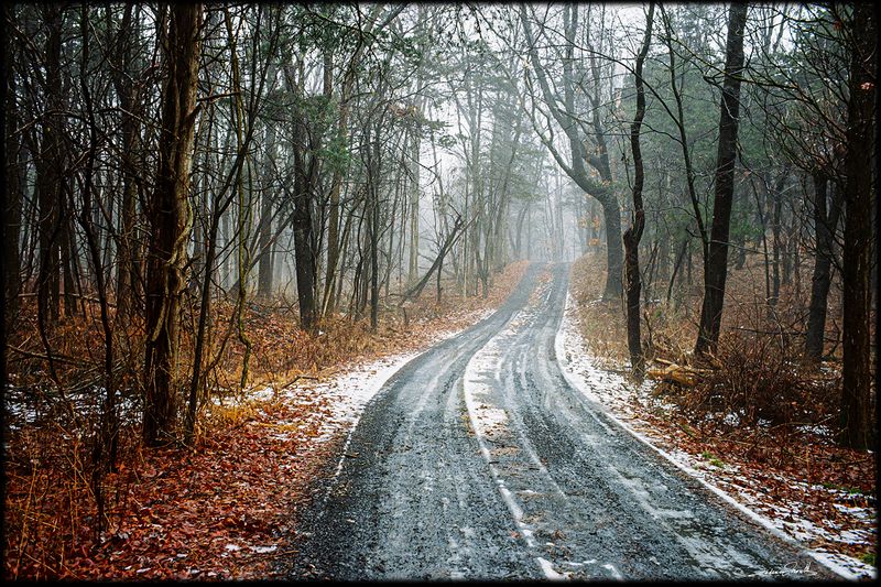 Dec_29_33.jpg
