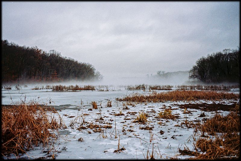 Dec_29_36.jpg