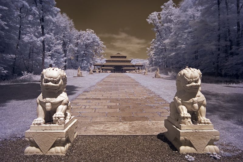 temple002.jpg