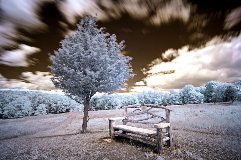 Tully'sbench004.jpg