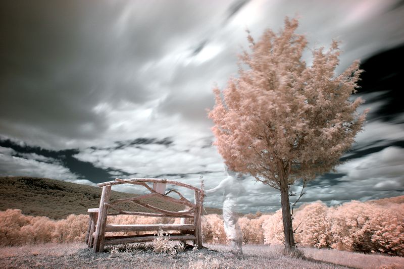 Tully'sbench008.jpg