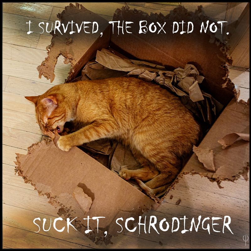 Schrodingers_cat.jpg