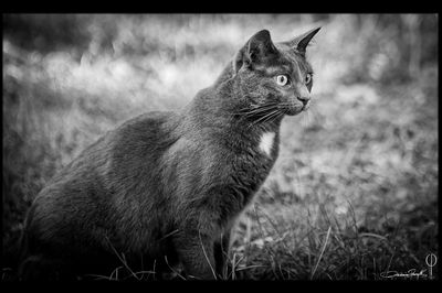 g13/01/1333601/3/173157008.6a776f5d.JPEG