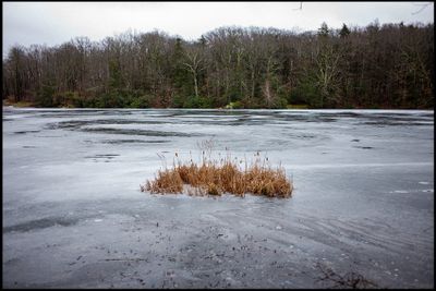 g13/01/1333601/3/174351007.c50d6565.JPEG