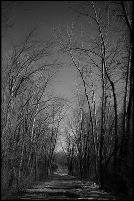 g13/01/1333601/3/174379570.7e579083.JPEG