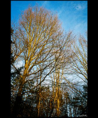 g13/01/1333601/3/175331032.01b4c7cf.JPEG