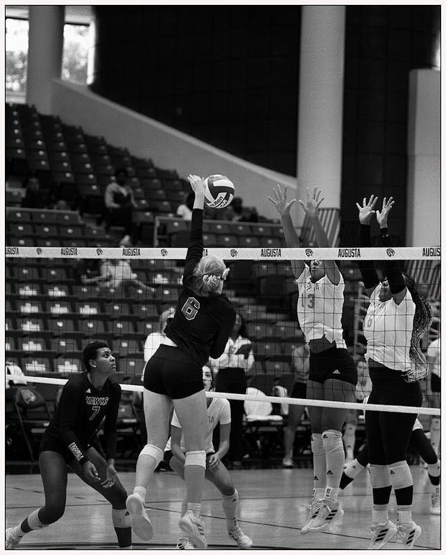 DSC_2239_DxO-1.jpg