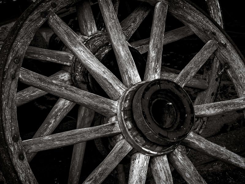 Z62_1048-NEF_DxO_PRIME-Edit_DxO.jpg