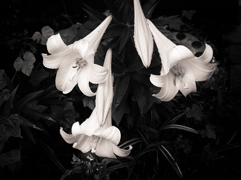 Testing -2_3 EV-20230521-001-6.JPG