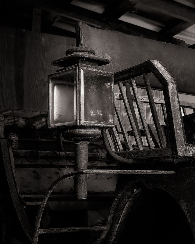 Z62_3402-NEF_DxO_DeepPRIMEXD-Edit.jpeg