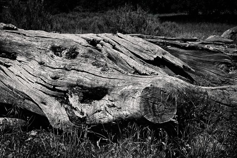 Attacking Tree